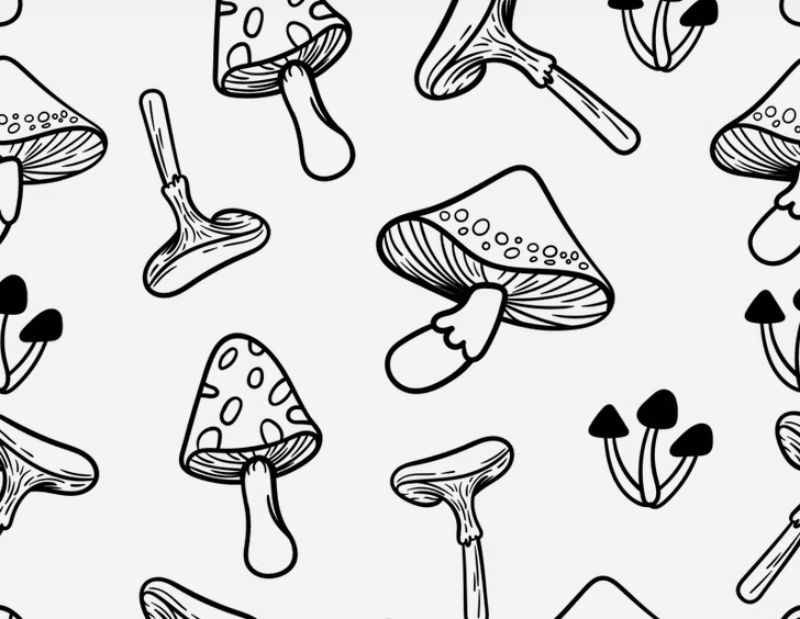 Classic Walnut & Mushroom ‘Chopped Liver’