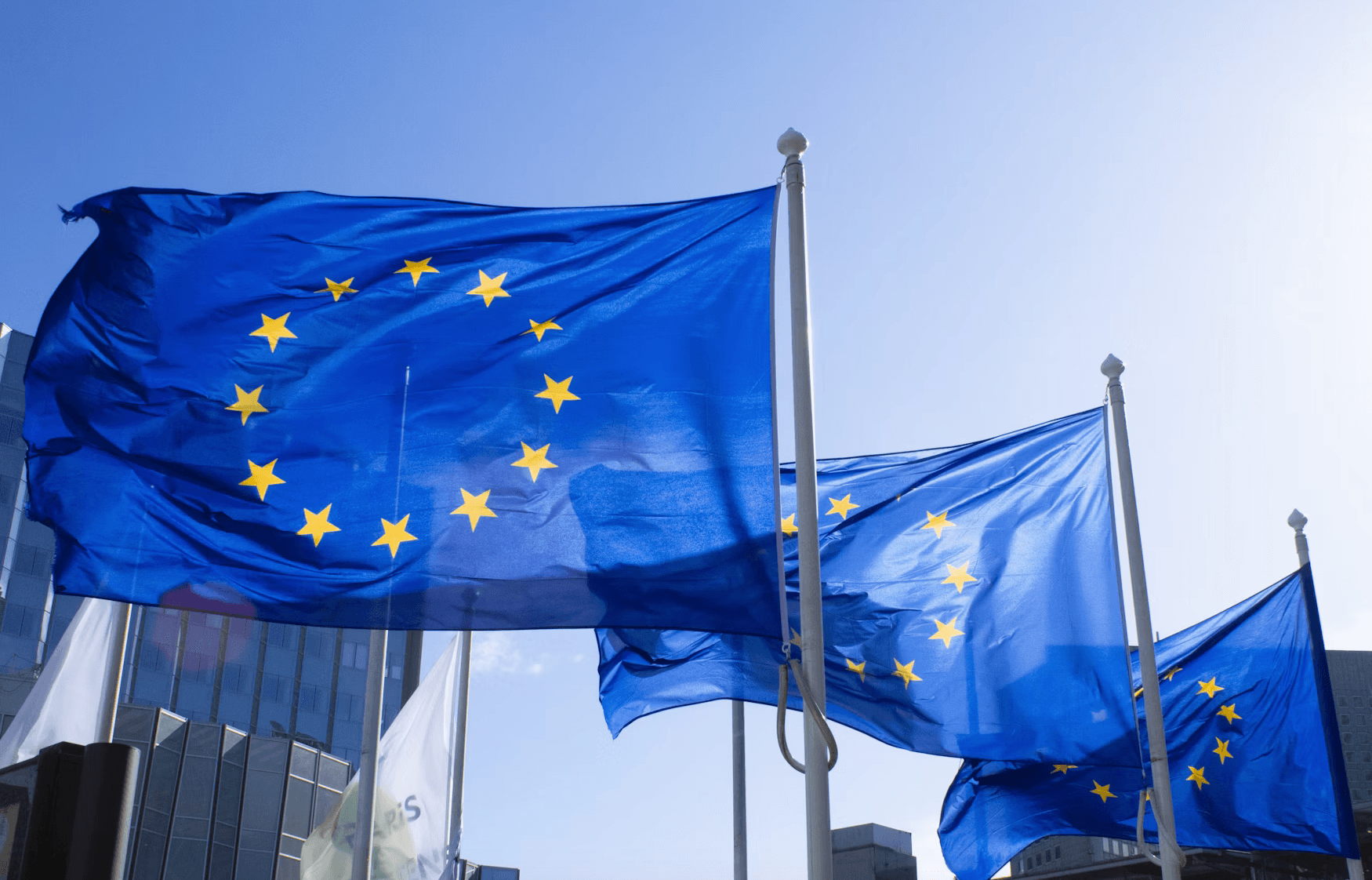 EU flags