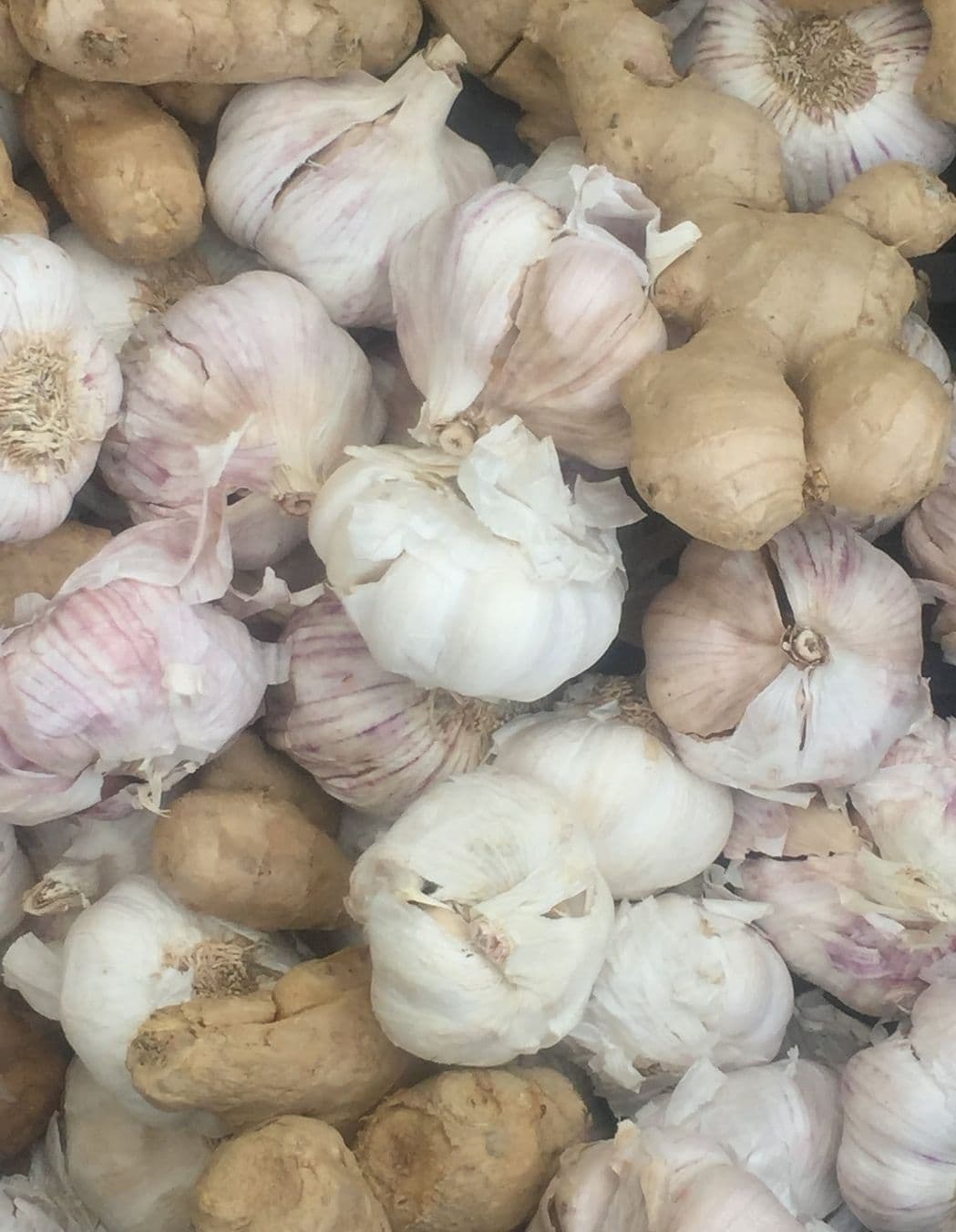 Vegan Garlic-Lemon Tahini Sauce