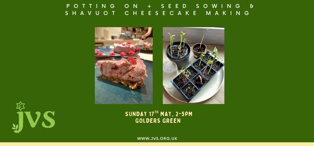 Seedlings potting-on & sowing + Shavuot cheesecake making