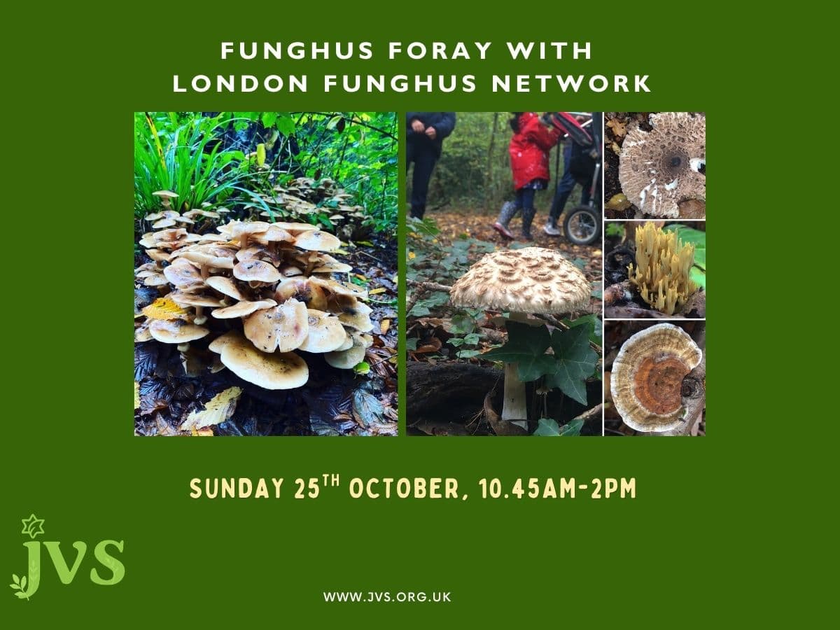 Funghus Foray