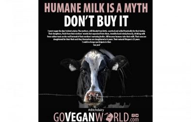 vegan-world-milk-ad