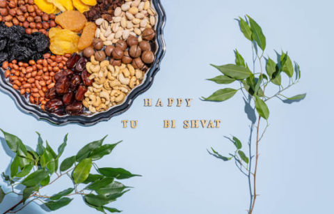 A beautiful festive backdrop with a silver tray with dried fruits and various nuts, traditional treats of Jewish Tu Bi Shvat. green branches. text.