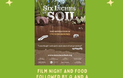 Six inches of soil screening-4