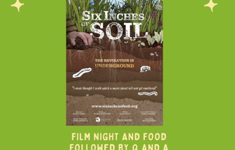 Six inches of soil screening-4