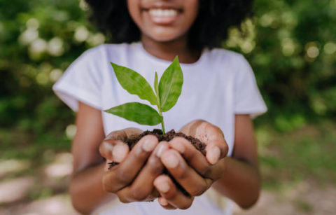 Prevent global warming, girl planting a small tree