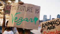 The future is vegan