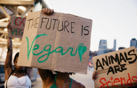 The future is vegan