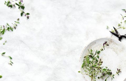 Healthy diet background with thyme leaf border