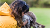 Veterinarian showing affection to donkey in a sanctuary located in quiros, asturias, spain, promoting animal welfare and environmental education