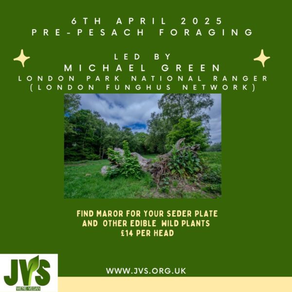 Pre-Pesach Foraging - 6th April