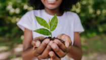 Prevent global warming, girl planting a small tree